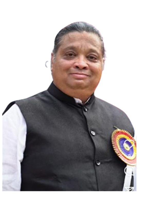 Mr. Anand Bhingarde - Executive Committee Member